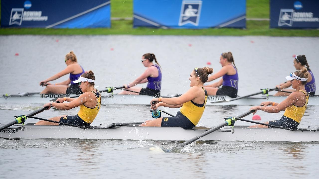 Rameurs en action lors du championnat national universitaire d'aviron.