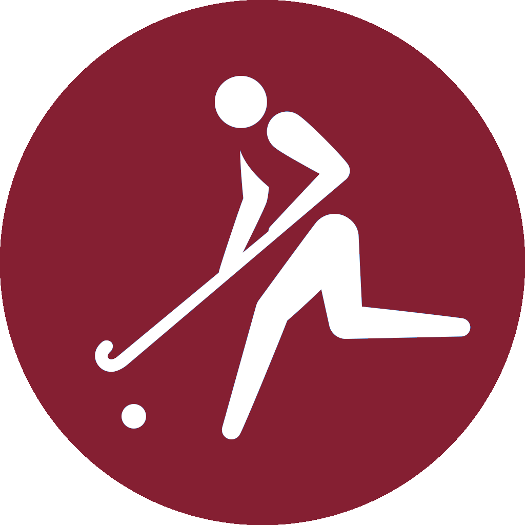 Icon of field hockey