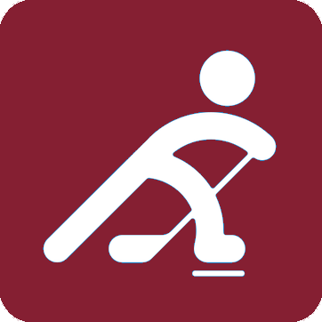 Icon von Eishockey