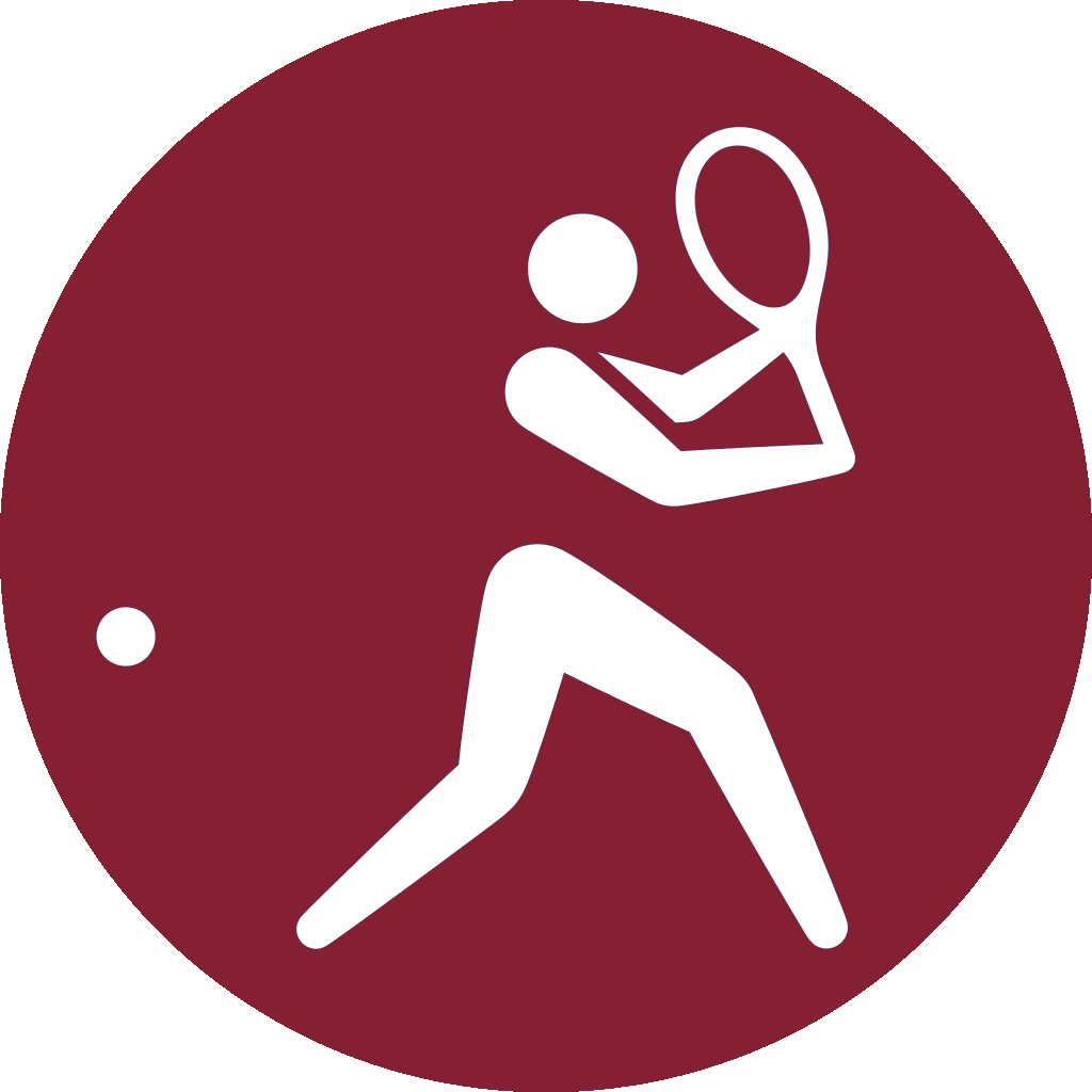 Icon of tennis