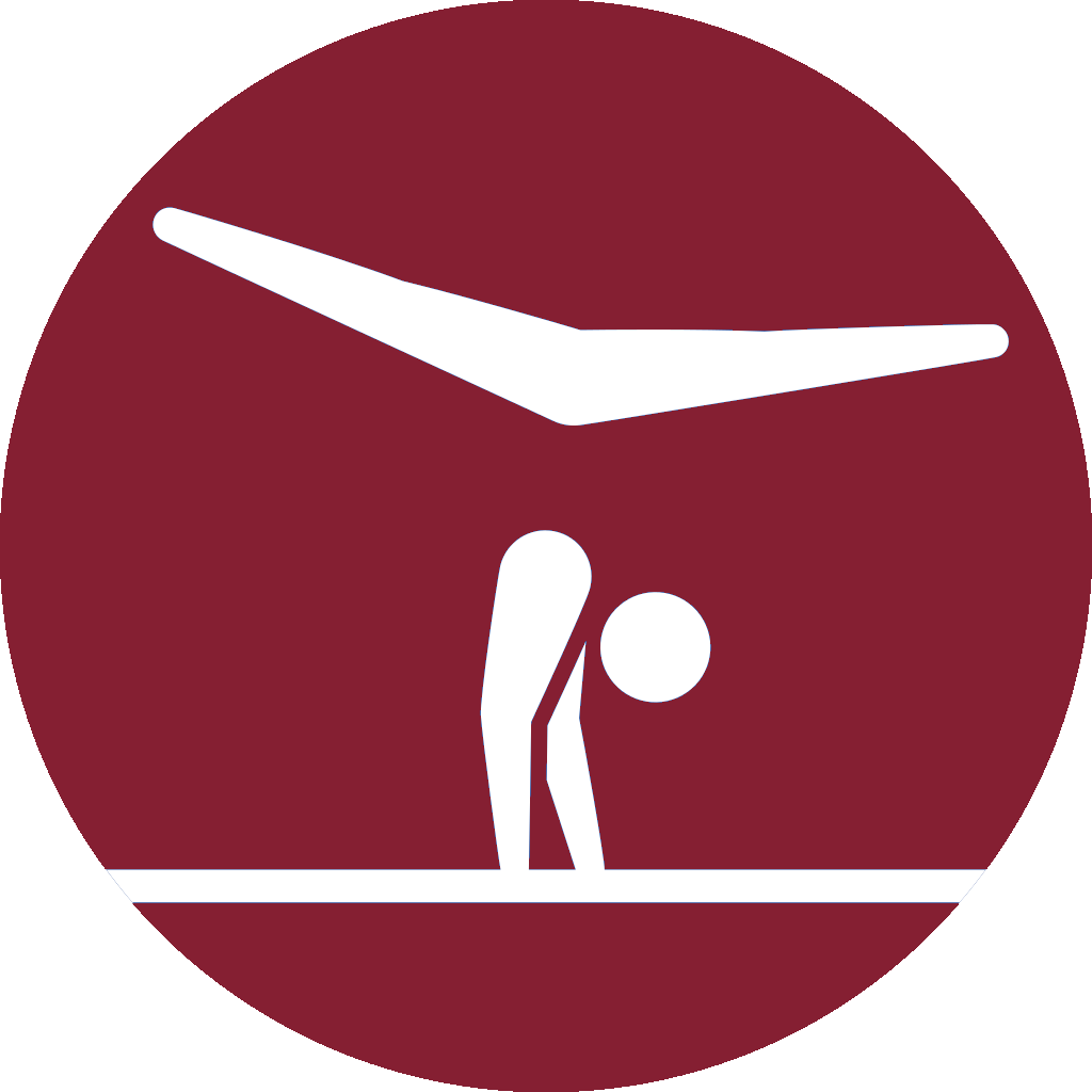 Icon of gymnastics