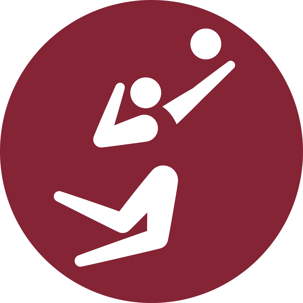 Icon von Volleyball