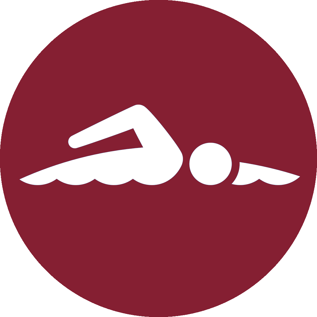 Icon of swimming